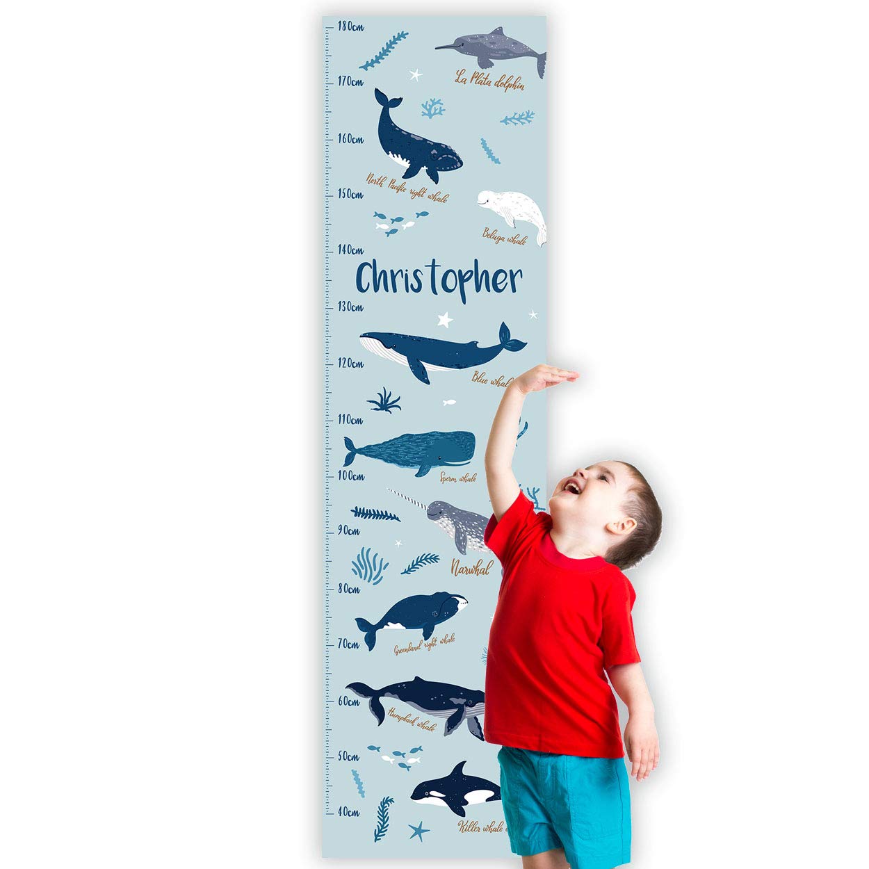 Personalised Kids Height Charts (Whale Species) — image 1