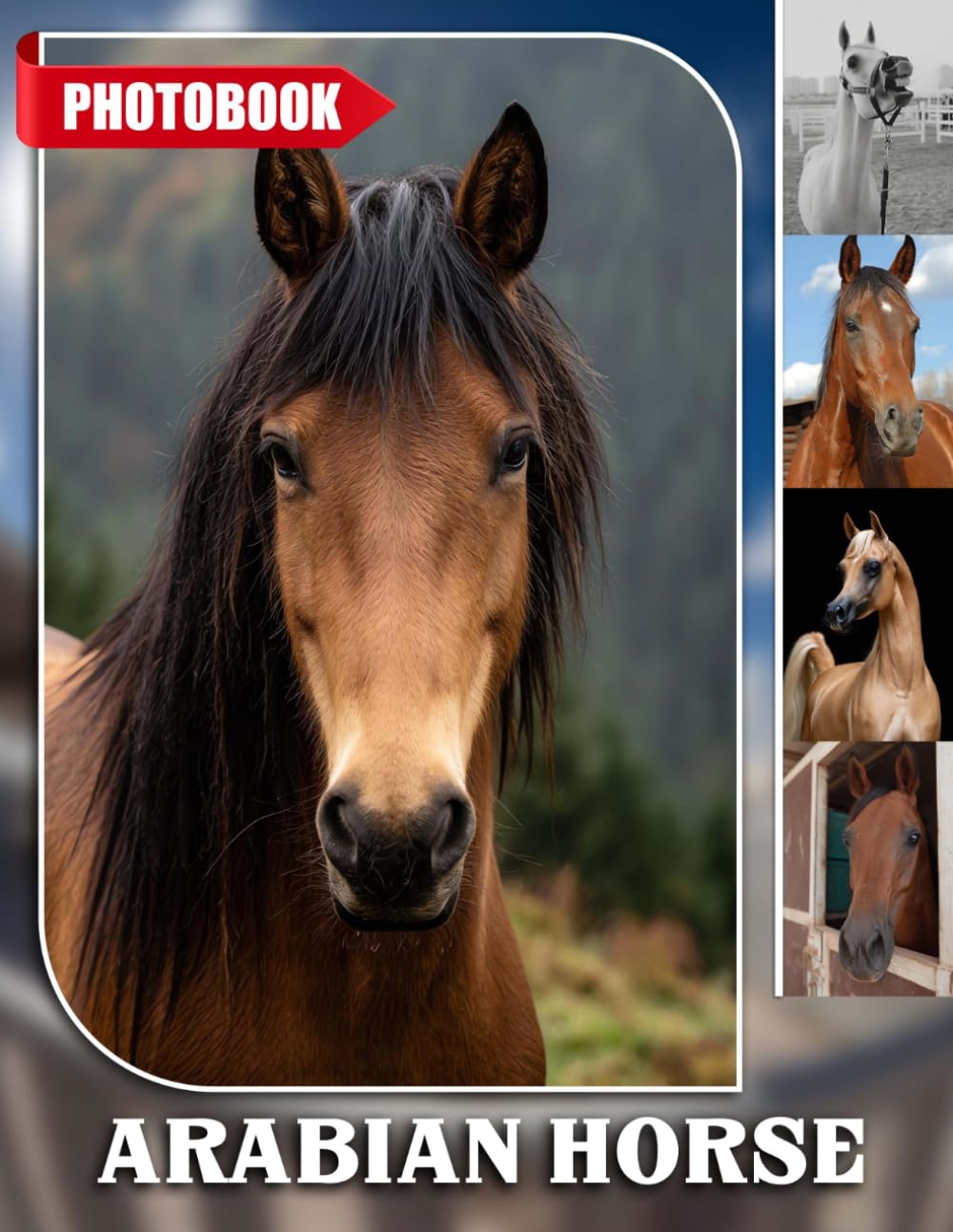 Arabian Horse Photo Book: Elegant Equine Photography Showcasing Majestic Arabian Horses And Beautiful Equestrian Portraits | Perfect Gift For Horse Lovers And Equestrian Enthusiasts