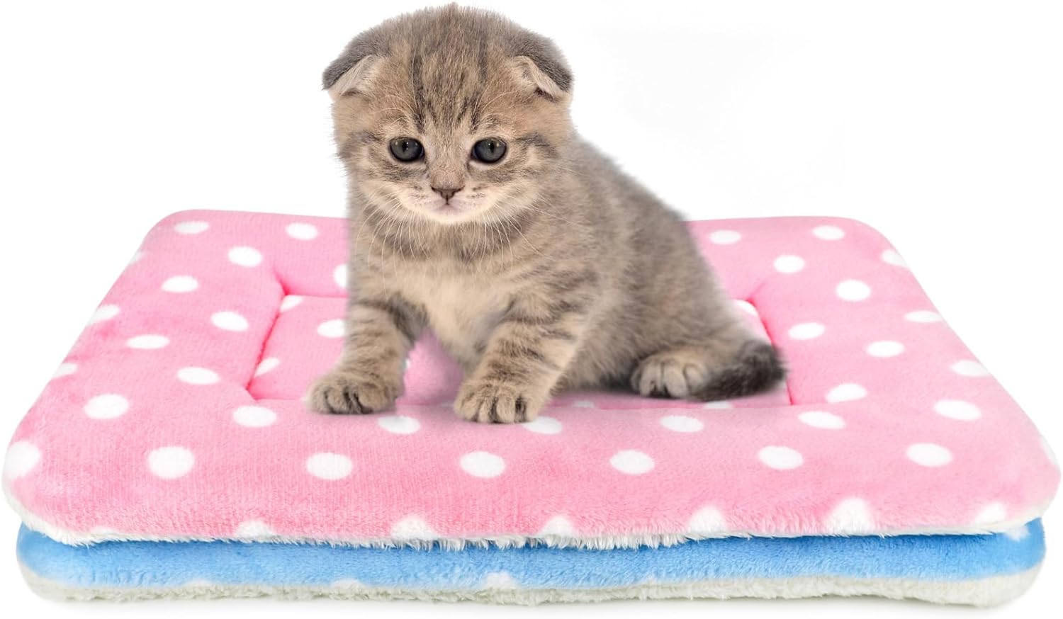 2 Pack Cat Blanket for Indoor Cats Ultra Soft and Warm Calming Cat Bed Fleece Pet Mat for Anxiety and Stress Washable Kitten Blanket