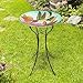 Teamson Home Handpainted Hummingbird Fusion Glass Birdbath Bowl Feeder with Metal Stand for Outdoor Patio Garden Backyard Decking, 21 Inch Height, Purple/Light Blue