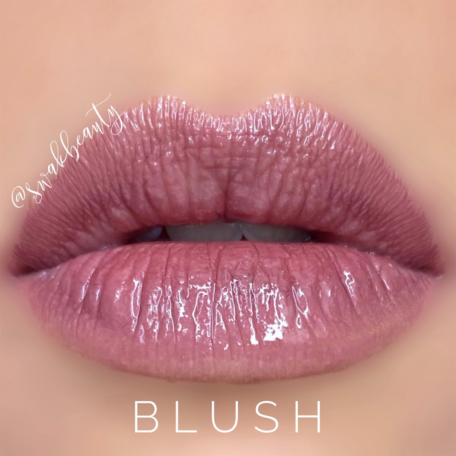 BLUSH Lip Sense Long-Lasting Liquid Lipstick 18-Hour Wear, Waterproof, Transfer-Proof, Paraben-Free, Vegan, Cruelty-Free in Multiple Shades.
