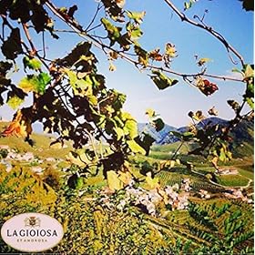 La Gioiosa Rosea Brut, 75 cl – La Gioiosa