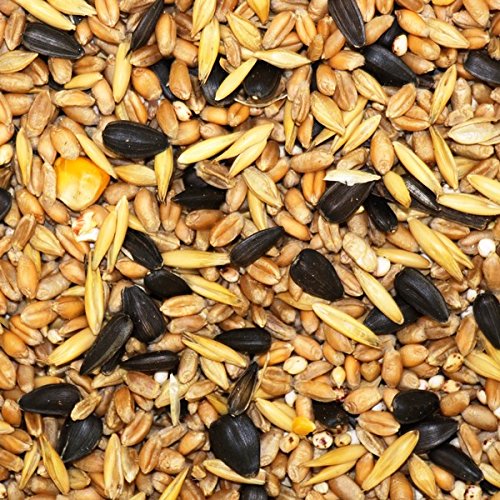 25 kg futterxl mangime Allround Winter mangime per...