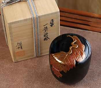 61Sk4RR73jL._AC_UF350,