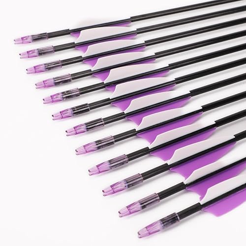 Vista 5 de LWANO Flechas de entrenamiento de 31 pulgadas, para práctica de tiro con arco, para niños, jóvenes o principiantes con eje duradero en arco recurvo