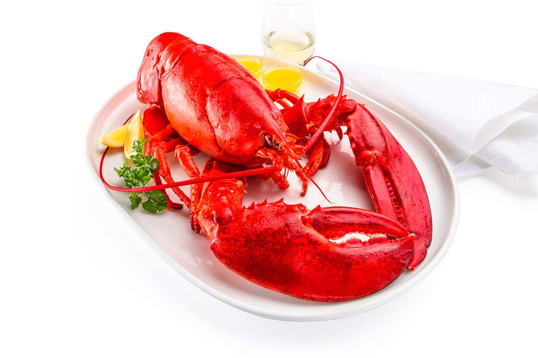 Live New England Lobster, 4-6 lb avg, 10 lb Case - Fresh Gourmet Lobsters for Chefs and Culinary Enthusiasts