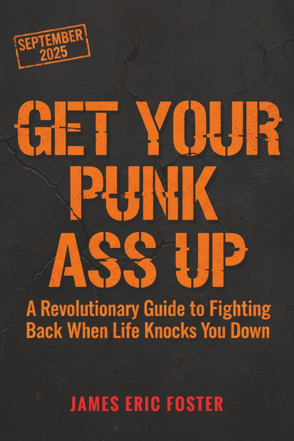 GET YOUR PUNK ASS UP: A Revolutionary Guide to Fighting Back When Life Knocks You Down
