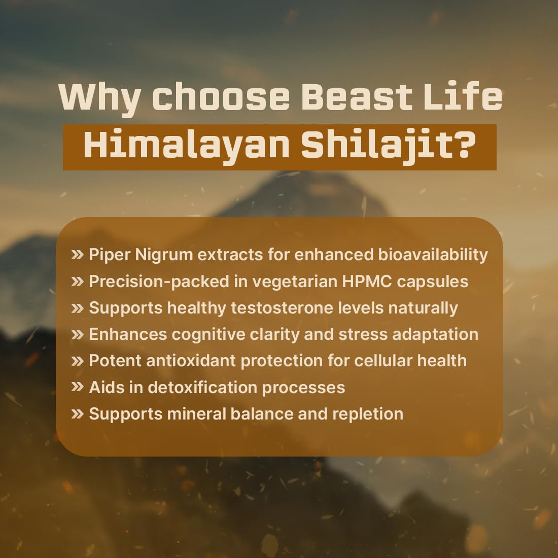 BeastLife Himalayan Shilajit | Pure & Potent Shilajit Supplement | Improve Muscle Strength, Enhances Stamina, Energy & Power | Supports Faster Recovery | Natural & Organic Shilajeet (60 Capsules) 2
