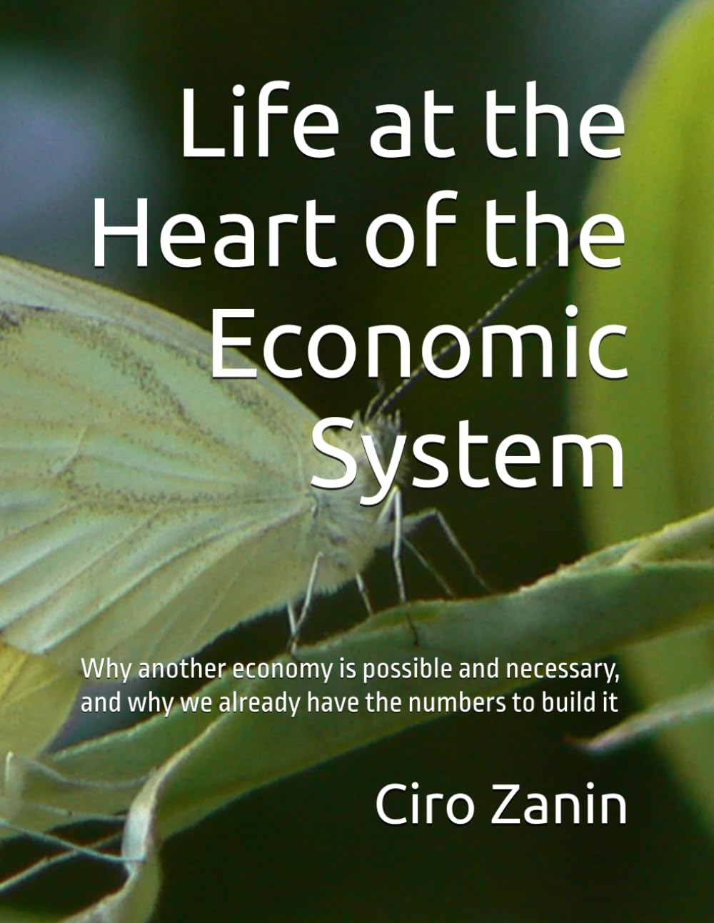Life at the Heart of the Economic System: Why another economy is possible and necessary, and why we already have the numbers to build it (Living Capital Framework)