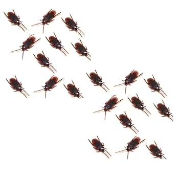 羊頭狗肉　ゴキブリ（G）　　　おもしろグッズ 羊頭狗肉 ゴキブリ（G） おもしろグッズ 楽天市場】送料無料