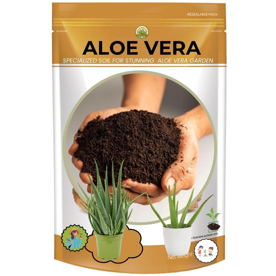Aloe Vera Plant Specialized Soil for Stunning Aloe Vera Garden| The Resilient Beauty | Air Purifier Live Indoor Plant for Living Room & Office Home Decoration | House Warming (B0DF5TMR7L) Amazon Price History, Amazon Price Tracker