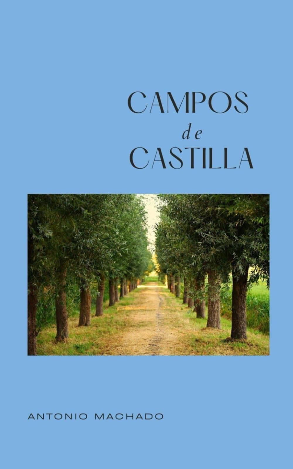 Campos de Castilla