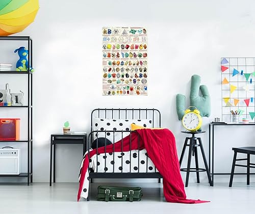 Miniatura 3 de Introducción a los minerales Geología Ciencias Educativas Gráfico de aula Imprimir Póster 24x36