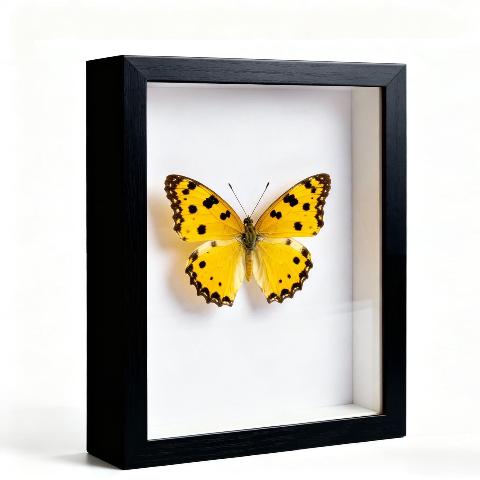 WenYa 6x8 Shadow Box Frame, 17x22.1cm 3D Photo Frame, Memory Box Frame for Memorabilia, Photos, Awards, Medals and Crafts (Black, 6x8-Hollow 3cm)