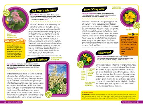 Ultimate Explorer Field Guide: Wildflowers - Image 5