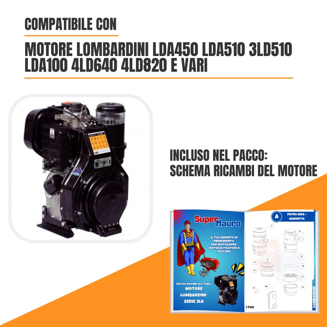 Pompa Iniezione Completa Compatibile per Motore Lombardini Diesel LDA450, LDA510, 3LD510, 4LD640, LDA640, LDA 96, LDA97, LDA100, 4LD820, LDA820 per Motozappa e Motocoltivatore