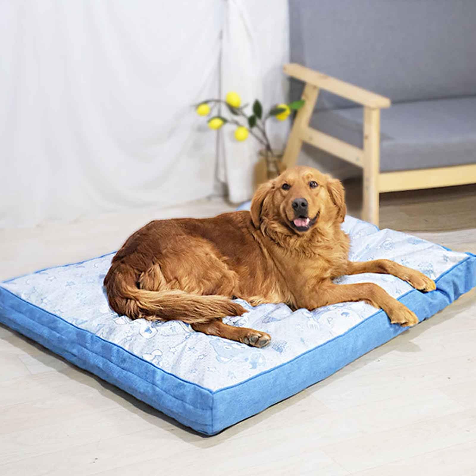PJDDP - Alfombrilla de refrigeración para perros extra gruesa, cama refrescante para mascotas, alfombrilla de refrigeración transpirable para perros de verano con funda extraíble lavable, uso de doble