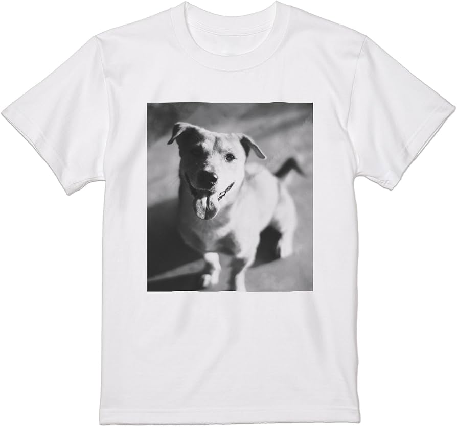 Amazon.co.jp: [igsticker] プリント Tシャツ メンズ 2XL size サイズ