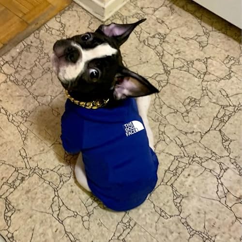 Moletom com capuz para cães, confortável, macio, respirável, quente, quente, com capuz, para cães pe