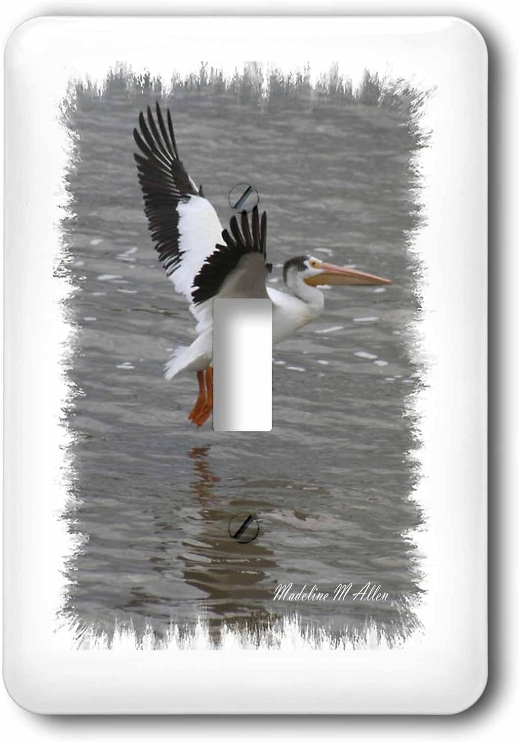 3dRose Lsp_6585_1 Pelican In Flight Bird Photography Single Toggle Switch