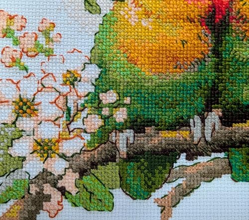 Image of RIOLIS - Lovebirds 1780, Cross Stitch Kits 7 inchx7, Cross Stitch Kits for Beginners & Advanced, Crossstitching Kit Adult, Embroidery Counted Stitching Kit