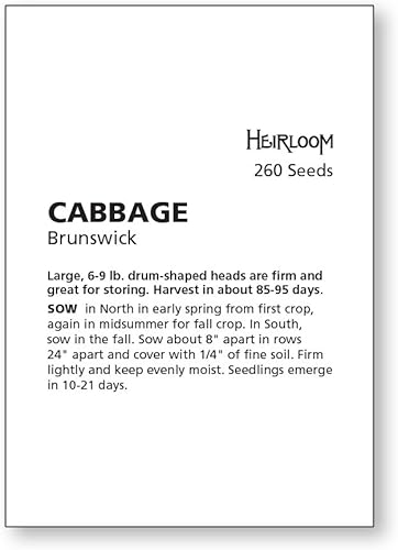 Miniatura 3 de Col Brunswick 1PKT 260semillas