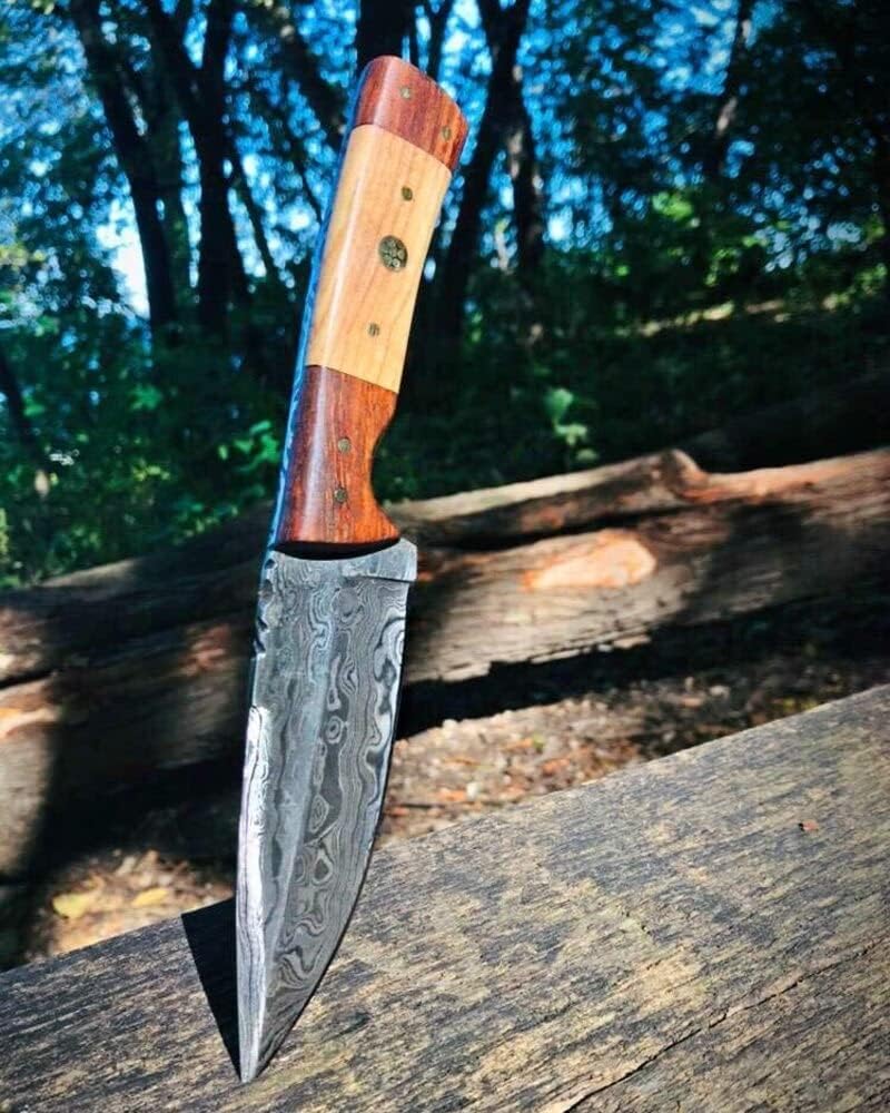 Titan International Knives 8.2" Damascus Steel Fixed Blade Hunting Knife | Handmade 1095 4340 Carbon Mix Hand Pounded | EDC Black Walnut and Olive Wood Handle | Leather Sheath Multi Purpose Survival and Camping