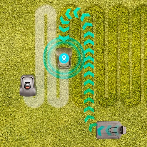 Cecotec Kabelloser Rasenmähroboter für 500m² Conga Grasshopper 500 Map Connected. Digitaler Brushless-Motor, App, Geordneter Schnitt, Maximale Steigung 45%, Schnittblattregler, Regensensor