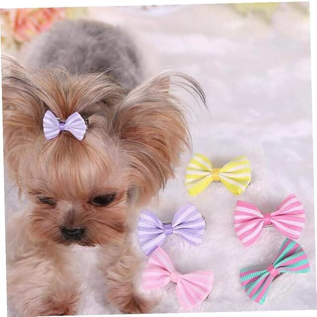 Barrettes pour chiens Amazon.fr