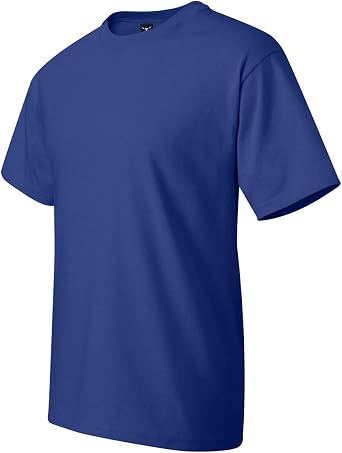 Hanes Men's Short Sleeve Beefy-T (Pack of 2)