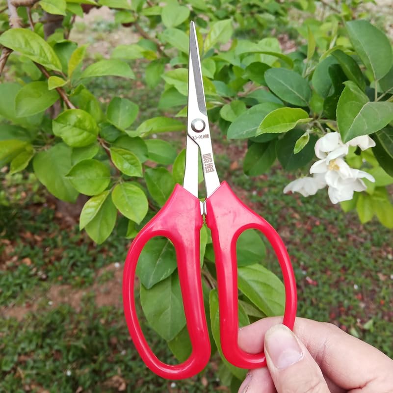 Tijeras de poda ibasenice 6.10 pulg para jardín miniatura 3
