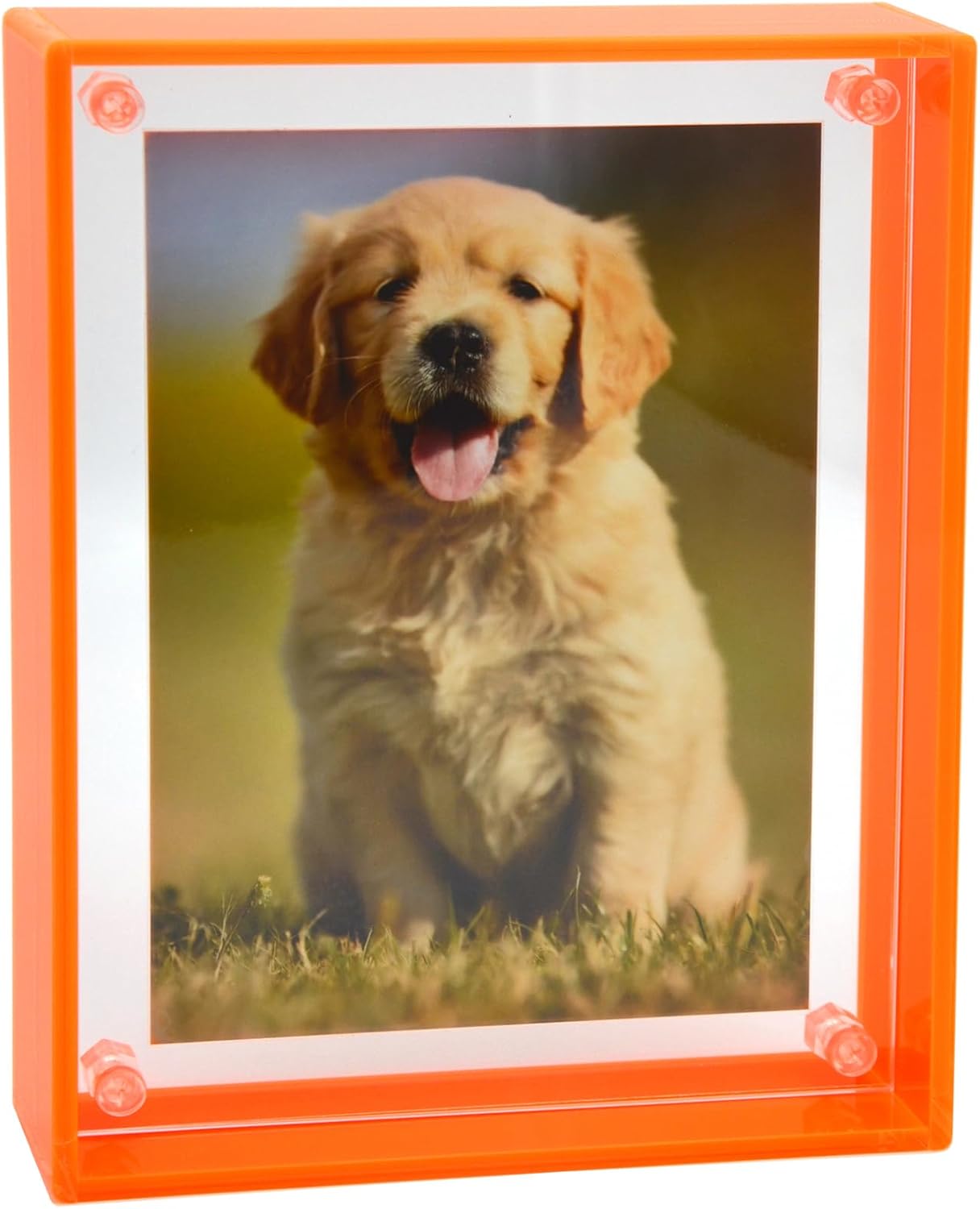 Acrylic 16 x 20 Picture Frame to Display 16x20 12x18 12x16 11x17 Photo Mat-free Neon Floating Poster Frame for Wall and Tabletop, Neon Orange