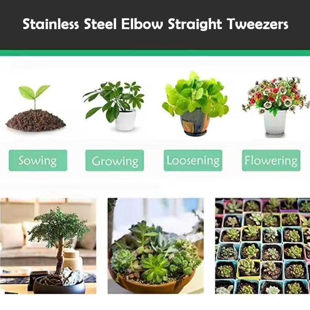 Pince à épiler 2 en 1 pour bonsaï, outil de jardinage, râteau à racines, grattoir pour plantes, outils pour plantes