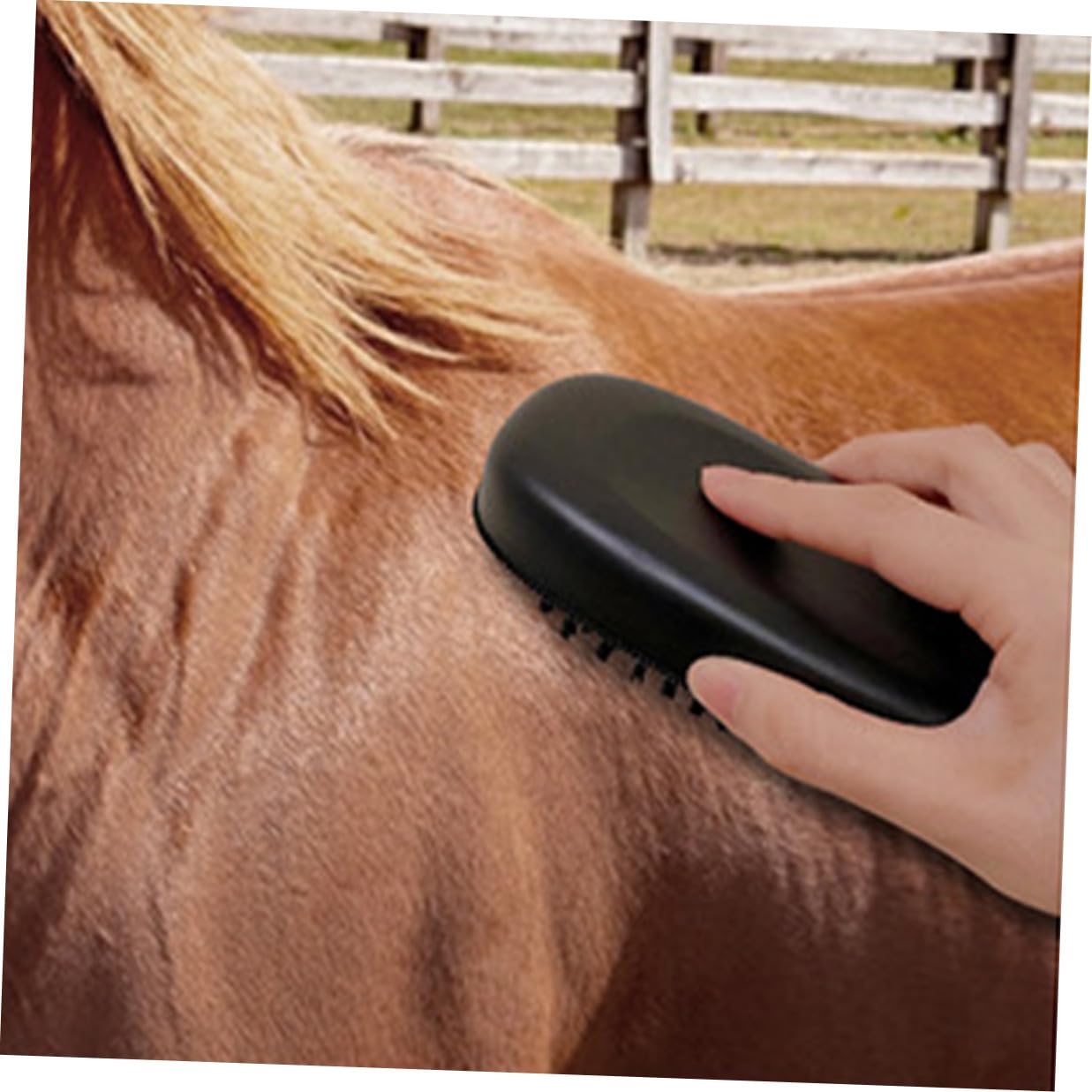 ibasenice Horse Groom Brush with Handle, Pp Bristle Pet Hairbrush and Cattle, Multi-function Tail and Mane Cleaning Brush for Equine Grooming