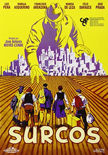 Surcos - IMPORT ZONE 2