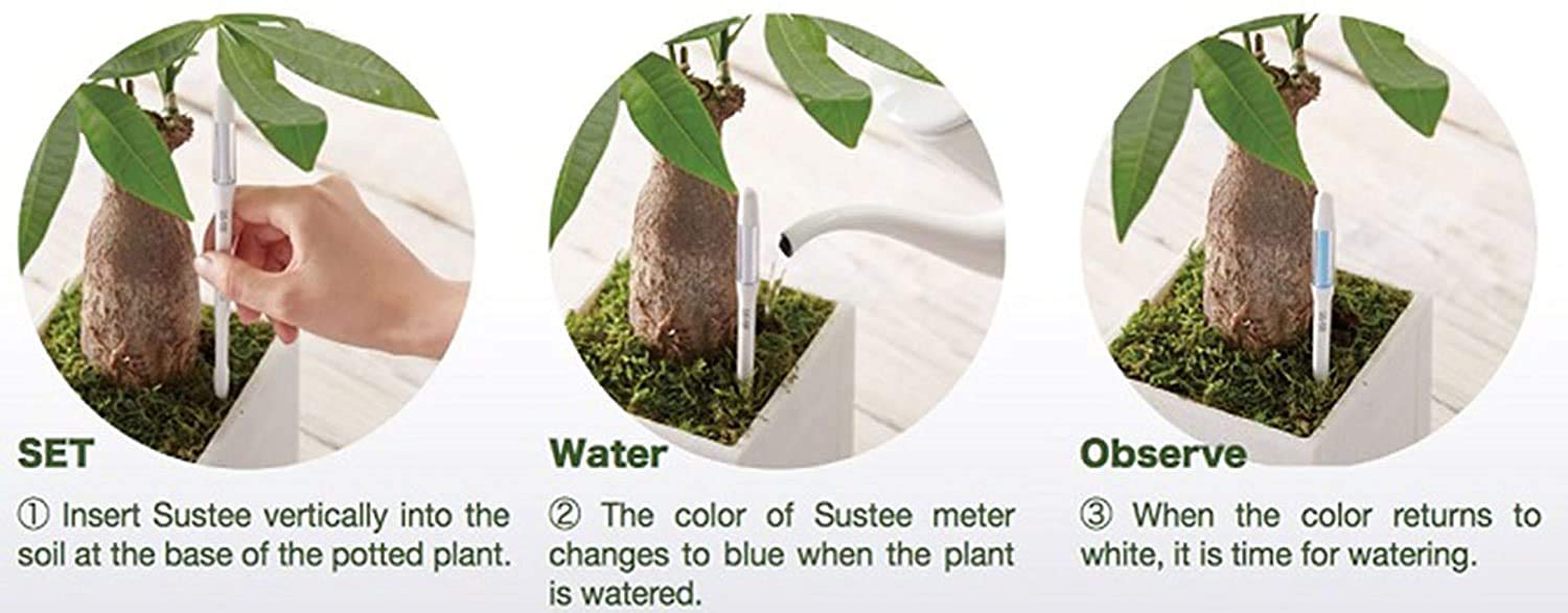 IPPINKA Sustee Aquameter, juego de 4, sensor de humedad del suelo para plantas, (blanco, mediano)