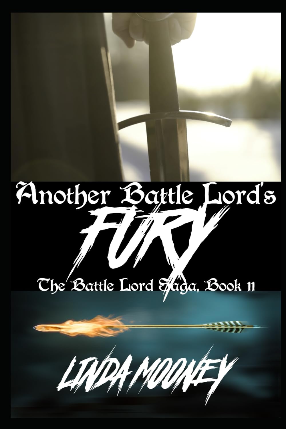 Another Battle Lord's Fury: 11 (The Battle Lord Saga)