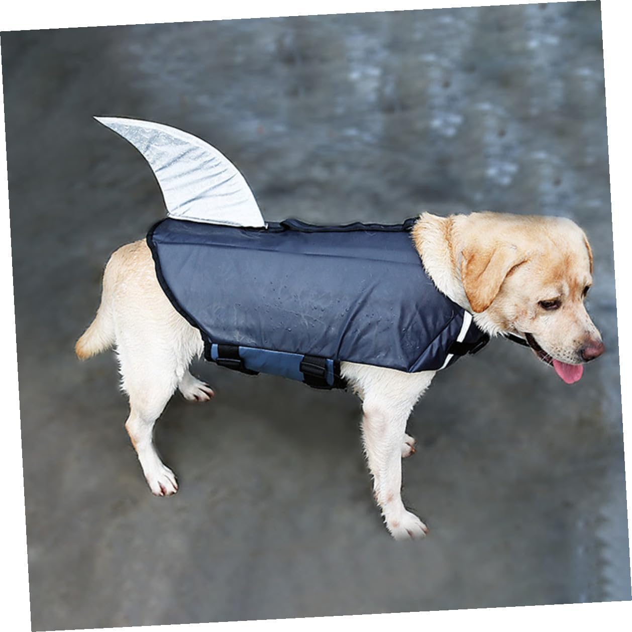 Dog Swimming Vest Shark Design Reflective Pet Life Jacket Gray XL Buoyancy Safety Vest for Outdoor Training and Boating