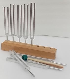 KASHSURG Chakra unweighted Silver Tuning Forks Set of 8 Including Velvet Pouch and Mallet Wooden