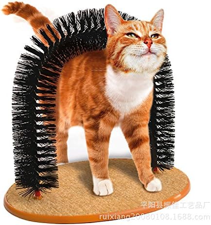 amazon cat self groomer