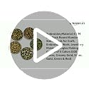 Image of Embroiderymaterial 4 MM Flat Back Round Kundan Stone Beads for Craft, Embroidery Work, Jewellery Making, Bangles Making Combo of 5 Colors (500 Pieces, Creamy Gold, Silver, Gold, Green & Red)