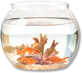 金魚鉢から飛び出して 金魚鉢から飛び出して 金魚鉢から飛び出して 金魚鉢から飛び出して