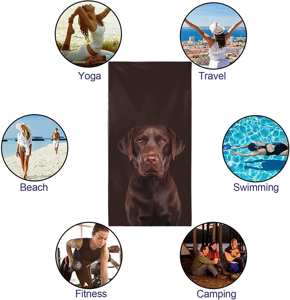 Oversized Beach Towel Quick Dry Sand Free Lightweight Microfiber Beach Towels for Swim Pool Camping Travel, Dog Theme Brown Labrador Chocolate Lab, 36"x72"