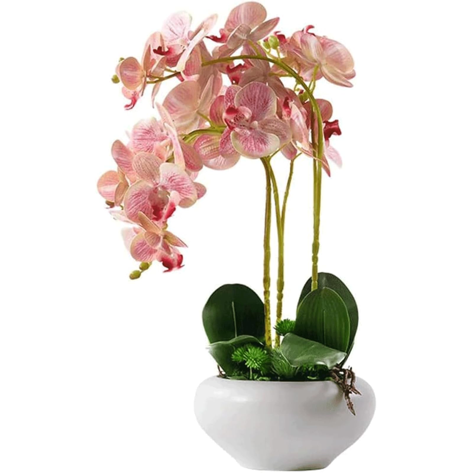 DFGHNBVC Artificial Flowers Fake Flowers Faux Orchids Potted Plant Flower Arrangement Floral Arrangement Floral Decor Gifts