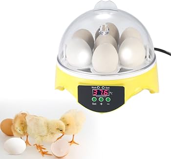 Amazon | 自動孵卵器 7卵 ミニ デジタル 孵卵機 透明 卵の孵化機 自動