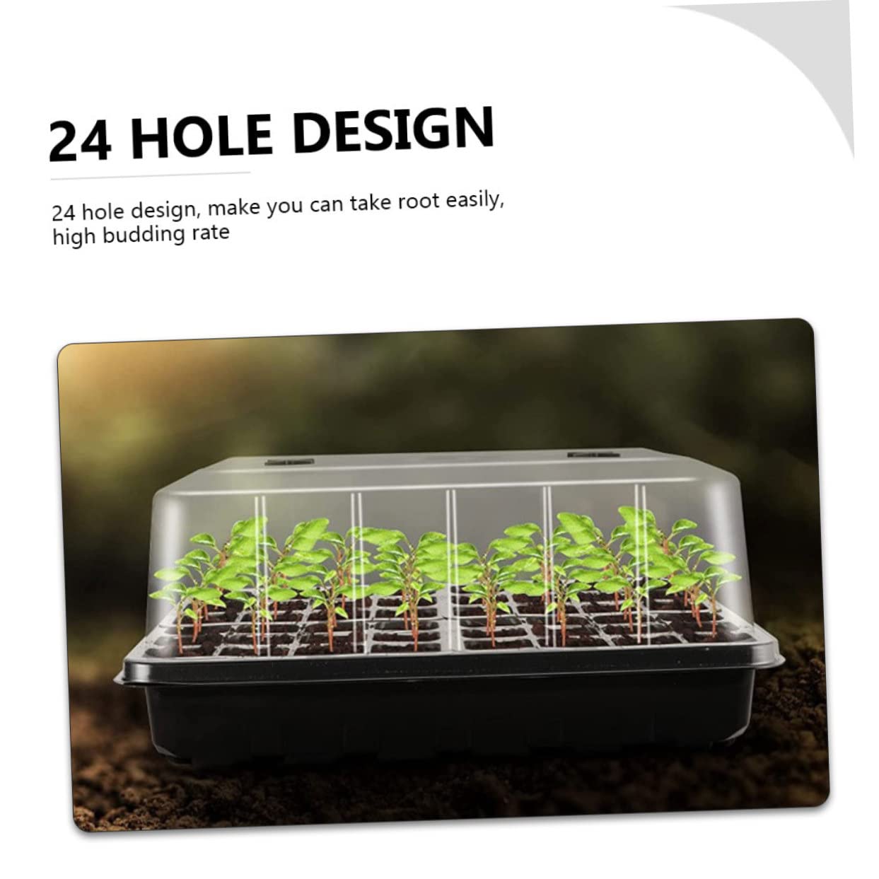 BESPORTBLE Bandeja de Siembra para Germinación 1 Juego PP para Vivero