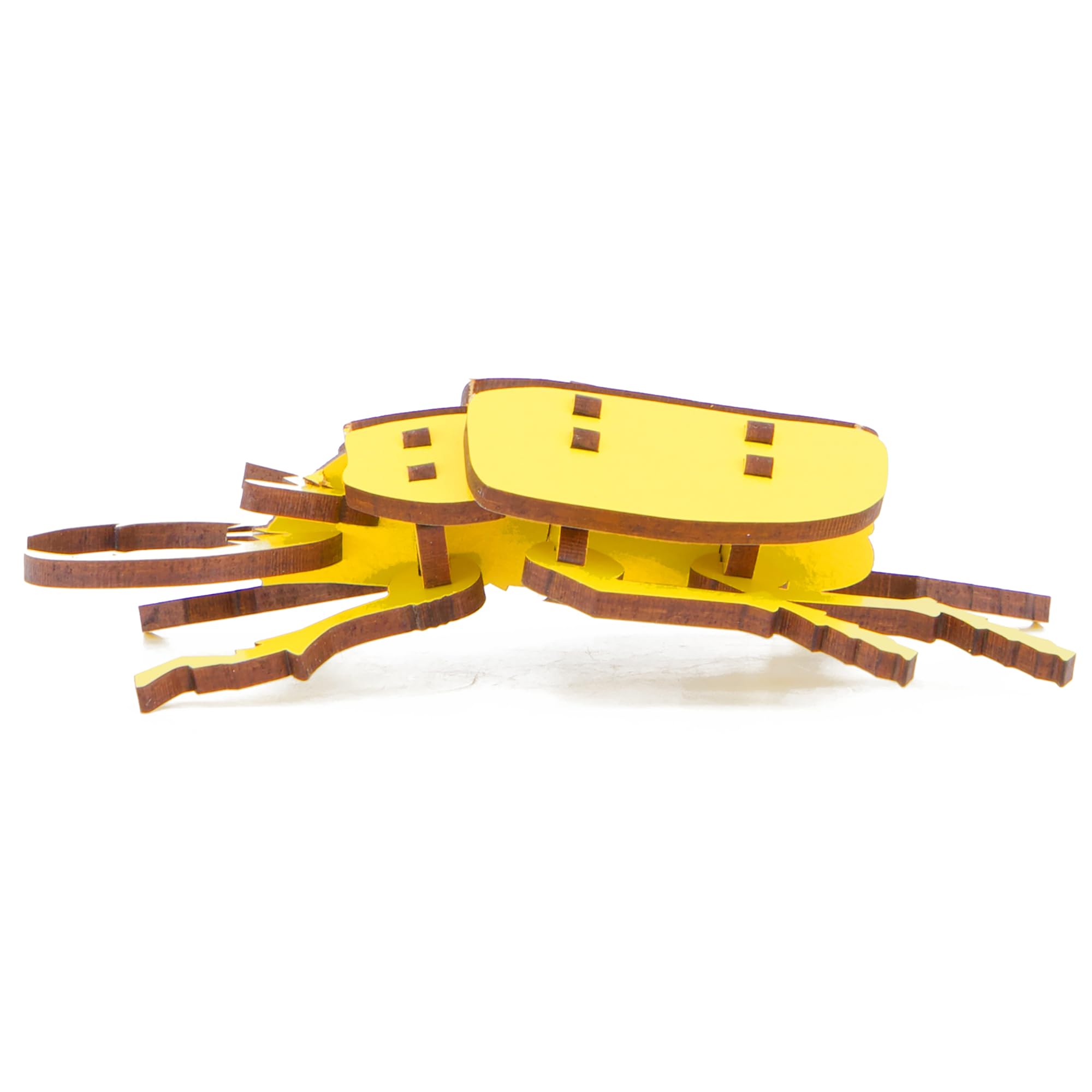 Little & Wood: Woodlet: Small - Beetle - Yellow, 3D Wooden Kit-Set, Insect Puzzle, Easy Assembly, Pop Build Fun, Sustainab...