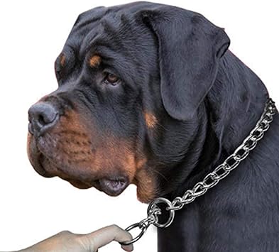 Amazon 9mmチェーンドッグカラー チェーンスネークメタルカラー ステンレススリップチェーン スモールミディアムラージドッグコントロールトレーニング歩行 28in Azlsl ベーシック首輪 通販