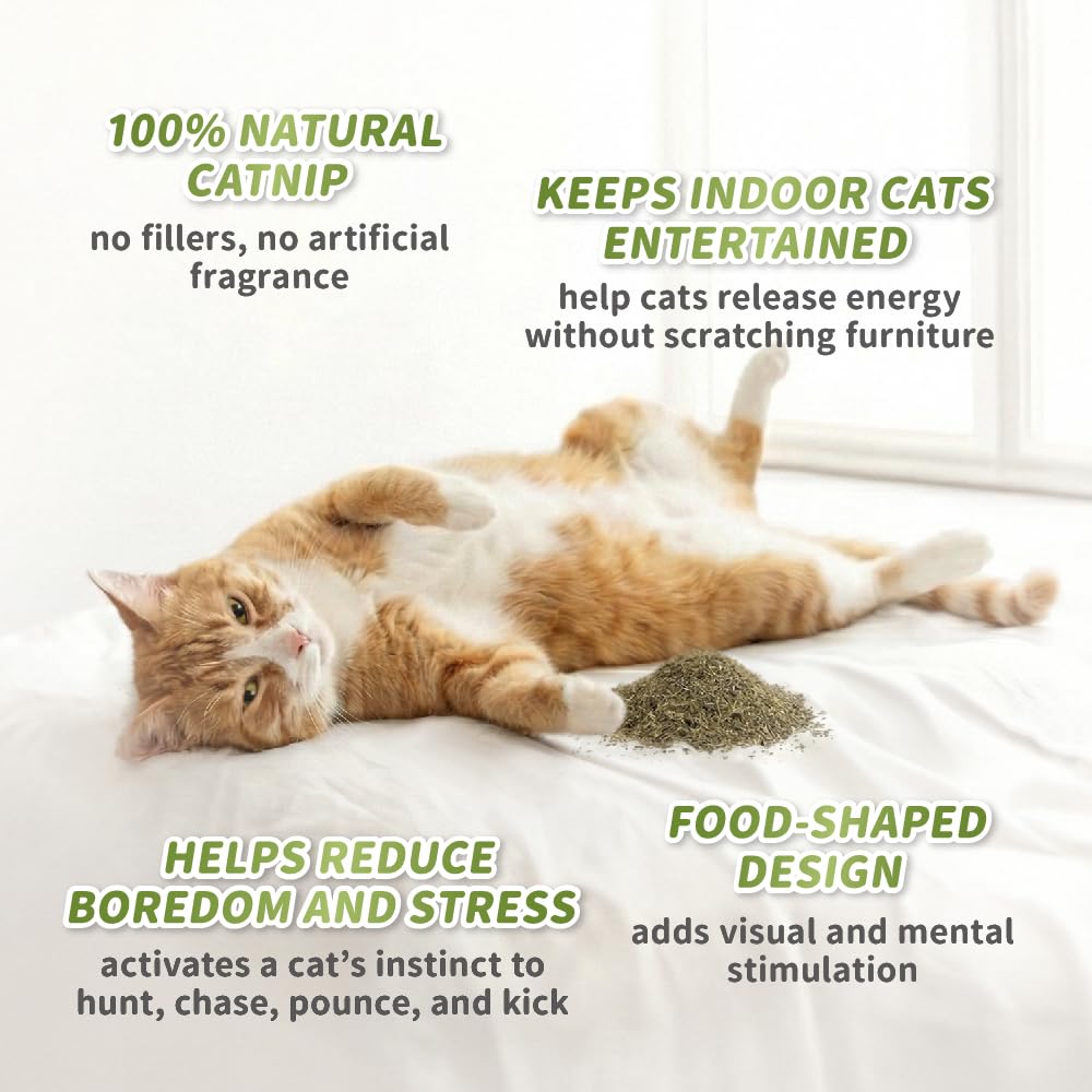 BLUE BAY Jouets 100 % remplis d'herbe à chat, jouet anti-stress pour chat, à mâcher, câliner et donner des coups de pied, plusieurs motifs et tailles (crevettes (12,7 cm de longueur), taille unique)