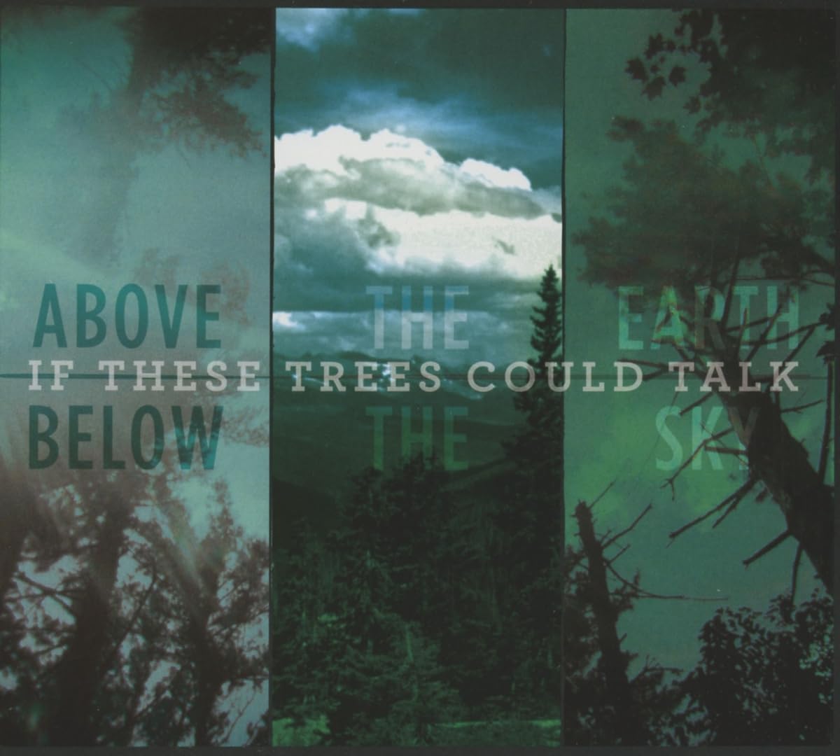 Above The Earth, Below The Sky